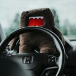 Domo is driving a car!